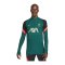 Nike FC Liverpool ADV Elite Drill Sweatshirt Grün F376 - gruen