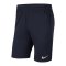 Nike Park 20 Knit Short Kids Blau Weiss F451 - blau