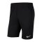 Nike Park 20 Knit Short Kids Schwarz Weiss F010 - schwarz