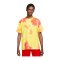 Nike Premium Essential SSNL T-Shirt Gelb F102 - gelb