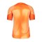 Nike Gardien IV Torwarttrikot Orange F819 - orange