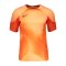 Nike Gardien IV Torwarttrikot Orange F819 - orange