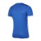 Nike Challenge IV Trikot Blau Weiss F463 - blau