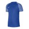 Nike Academy Trikot Blau Weiss F463 - blau