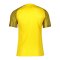 Nike Academy Trikot Gelb Schwarz F719 - gelb