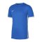 Nike Challenge IV Trikot Kids Blau Weiss F463 - blau