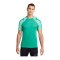 Nike Strike 22 T-Shirt Grün Weiss F370 - gruen