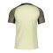 Nike Strike 22 T-Shirt Hellgrün F371 - hellgruen