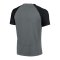 Nike Academy Pro T-Shirt Grau Schwarz F084 - grau