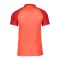Nike Academy Pro Poloshirt Rot Weiss F635 - rot