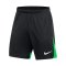 Nike Academy Pro Training Short Schwarz Grün F011 - schwarz