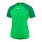 Nike Academy Pro Trainingsshirt Damen Grün Weiss F329 - gruen