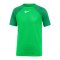 Nike Academy Pro Dri-FIT T-Shirt Kids Grün F329 - gruen