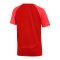 Nike Academy Pro Dri-FIT T-Shirt Kids Rot F657 - rot