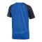 Nike Academy Pro Trainingsshirt Kids Blau F463 - blau