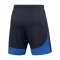 Nike Academy Pro Short Kids Blau F451 - blau