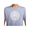 Nike Inter Mailand T-Shirt Grau Weiss F493 - grau