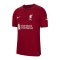 Nike FC Liverpool Auth. Trikot Home 2022/2023 Rot F609 - rot