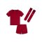 Nike FC Liverpool Minikit Home 2022/2023 Rot F609 - rot