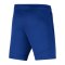 Nike FC Barcelona Academy Pro Short Blau F455 - blau