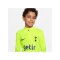 Nike Tottenham Hotspur Strike Drill Top Kids F702 - grau