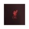 Nike FC Liverpool Tech Fleece Jogginghose Rot F652 - rot