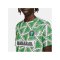 Nike Nigeria Trainingsshirt Grün F398 - gruen