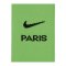 Nike Paris St. Germain TW-Stutzen 2022/2023 F304 - gruen