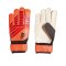 adidas Predator Training TW-Handschuh Rot Schwarz - rot