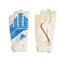 adidas Predator Training TW-Handschuh Blau Weiss - blau