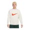 Nike Trend Fleece Crew Sweatshirt Grau F030 - grau