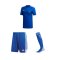 adidas Campeon 19 Trikotset Blau Weiss - blau