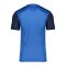 Nike Trophy V Trikot Blau F463 - dunkelblau