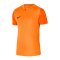 Nike Trophy V Trikot Kids Orange F819 - orange