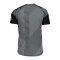 adidas FreeLift 360 Strong Graphic T-Shirt Grau - grau