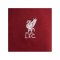 Nike FC Liverpool Fleece Trainingshose Rot F677 - rot