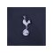 Nike Tottenham Hotspur Jogginghose Blau F459 - blau