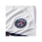 Nike Paris St. Germain Authentic Trikot Away 2023/2024 F101 - weiss