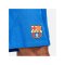 Nike FC Barcelona Auth. Short Away 2023/2024 F463 - blau