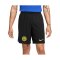 Nike Inter Mailand Short Home Away 2023/2024 Schwarz F010 - schwarz