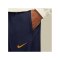 Nike Paris St. Germain Woven Trainingsanzug F116 - beige