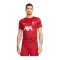 Nike FC Liverpool Trainingsshirt Rot F688 - rot