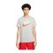 Nike T-Shirt Grau F063 - grau
