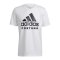 adidas Fortuna Düsseldorf Logo T-Shirt Weiss - weiss