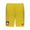 Nike 1. FC Heidenheim TW-Short Kids Gelb F719 - gelb