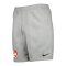 Nike 1. FC Kaiserslautern Fleece Short Grau F063 - grau