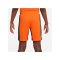 Nike Inter Mailand Short UCL 2023/2024 Kids F819 - orange