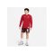 Nike FC Liverpool X LeBron James Max90 Sweatshirt Rot F608 - rot