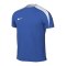 Nike Strike 24 Trainingsshirt Kids Blau Weiss F465 - blau