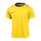 Nike Academy Pro 24 Trainingsshirt Gelb F719 - gelb